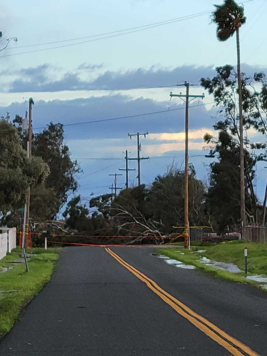 Powerlines down on the road near Baseline Road in Elverta. Powerlines down on the road near Baseline Road in Elverta.