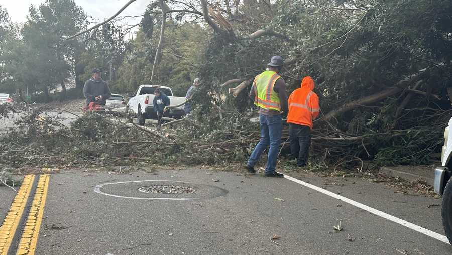 A tree blocks the road at Crest and Whitney Boulevard. A tree blocks the road at Crest and Whitney Boulevard.