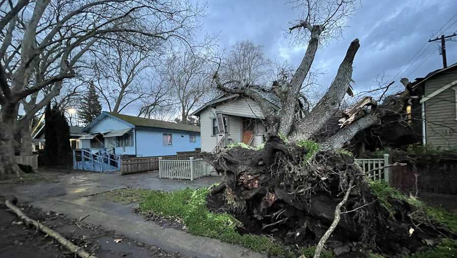 Tree into a home near Southside Park in Sacramento. Tree into a home near Southside Park in Sacramento.