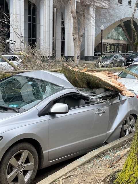 15th and O streets tree into car. 15th and O streets tree into car.