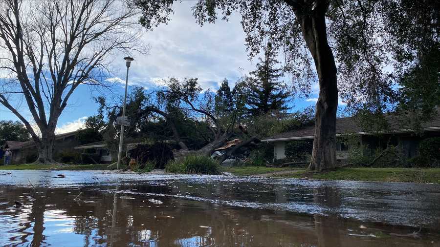 Carmichael A road flooded in Carmichael near Jesuit High School. A tree crushed a car and hit two homes and caused a water main break.