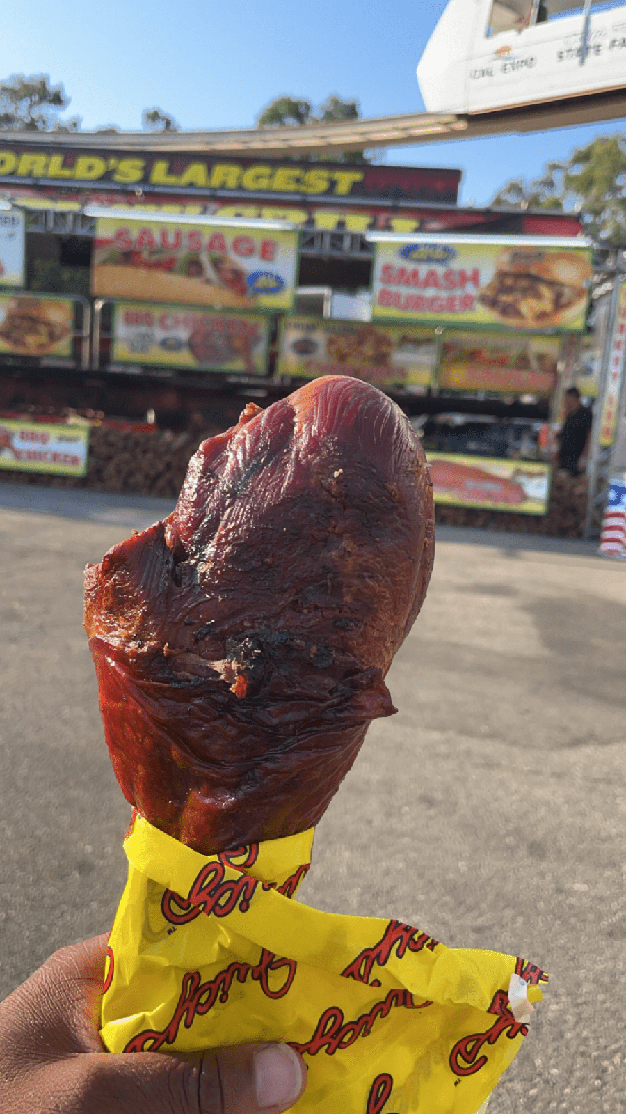 Turkey leg Turkey leg