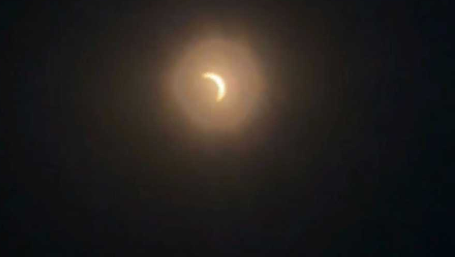 eclipse elkhorn eclipse elkhorn